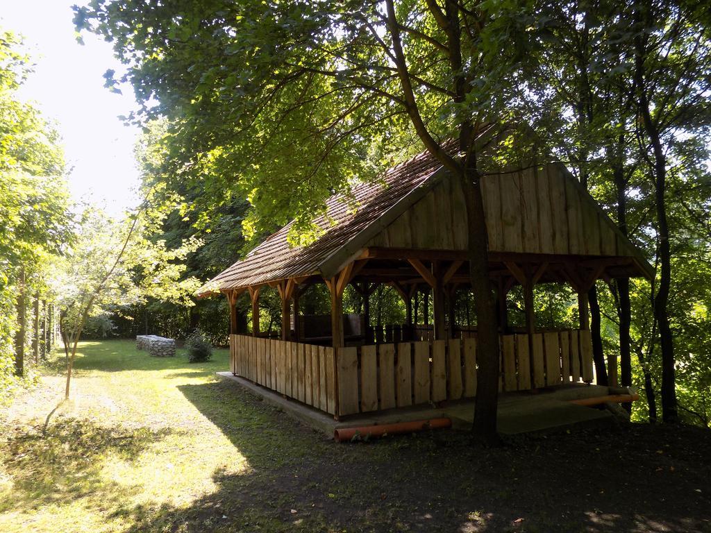 Hotel Bakterház Vendégház Nagyvisnyó Exteriér fotografie